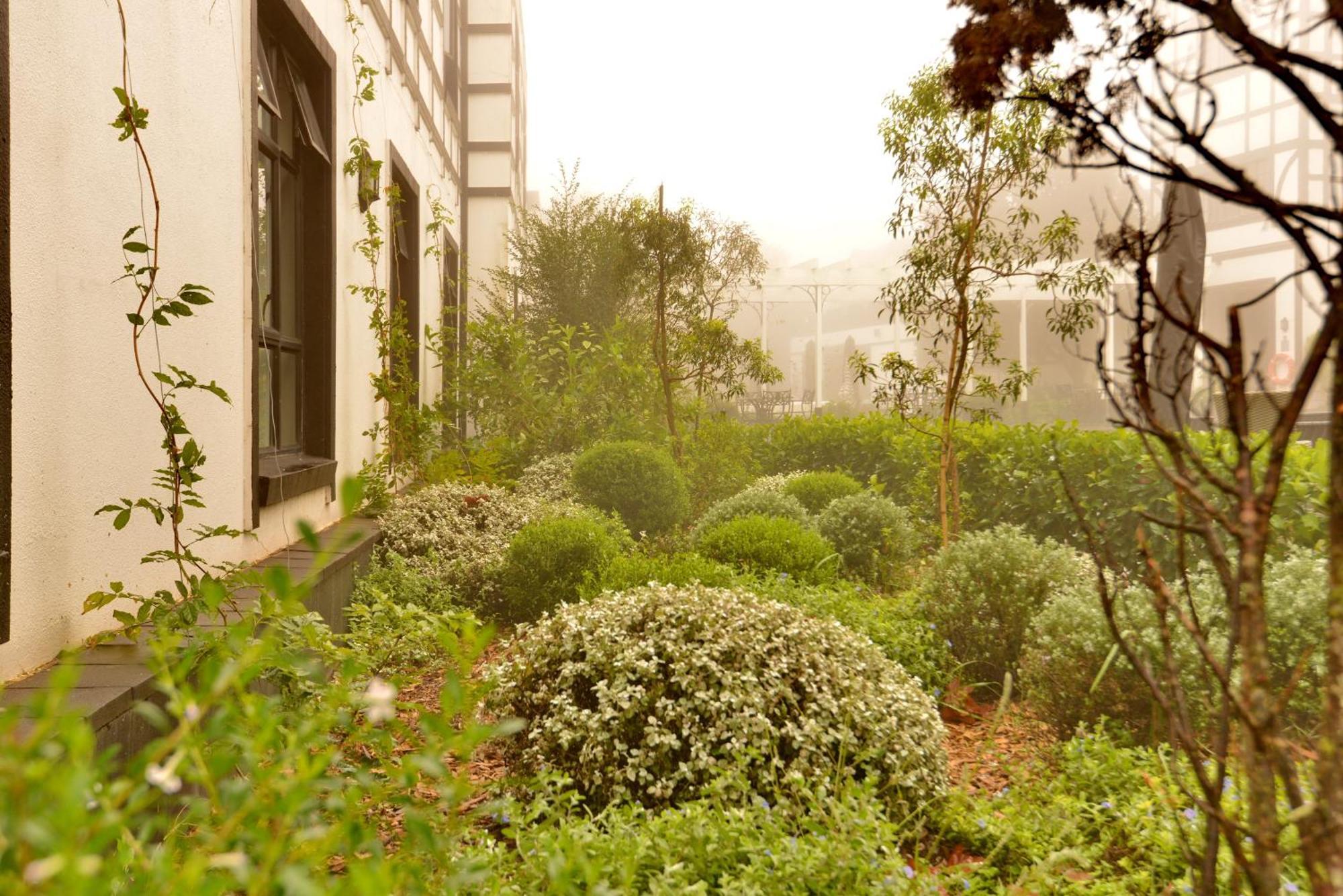 Anew Hotel Hilton Pietermaritzburg Exteriör bild